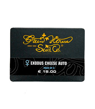 Exodus Cheese Auto fem (GHS)
