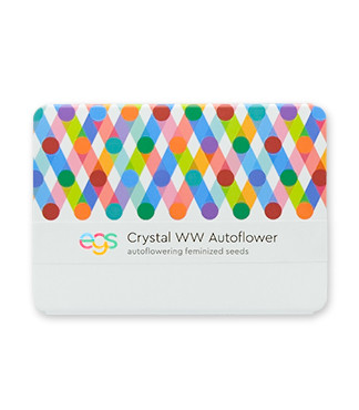 Crystal WW Autoflower fem (Easy Grow Seeds)