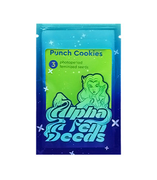 Punch Cookies fem (AlphaFem Seeds)