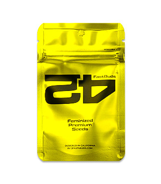 Gorilla Melon fem (FastBuds)