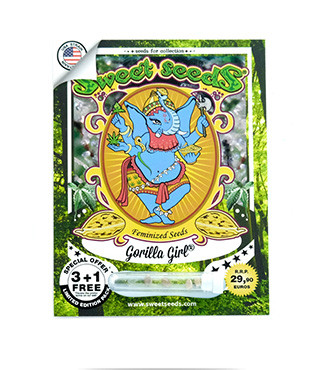 Gorilla Girl fem (Sweet Seeds)