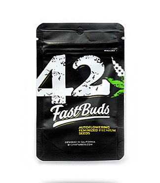 Purple Lemonade Auto fem (FastBuds)