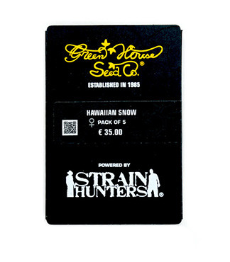 Hawaiian Snow fem (GHS)