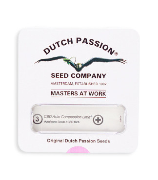 CBD Auto Compassion Lime fem (Dutch Passion)