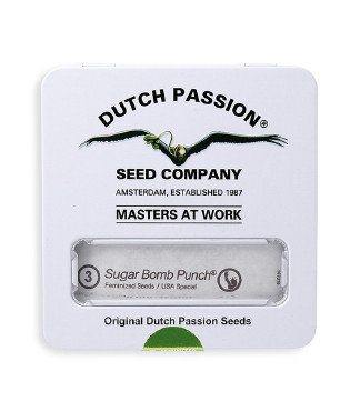 Sugar Bomb Punch fem (Dutch Passion)