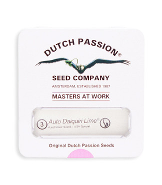 Auto Daiquiri Lime fem (Dutch Passion)