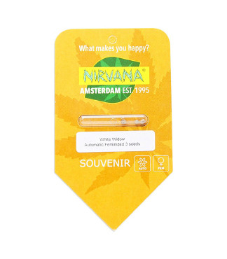 White Widow Automatic fem (Nirvana Seeds)