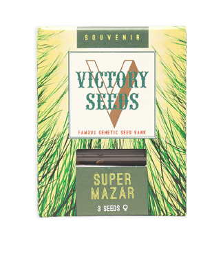 Super Mazar fem (Victory Seeds)
