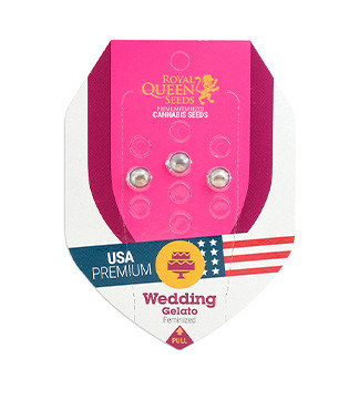 Wedding Gelato fem (RQS)