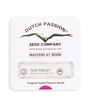 Auto Mazar fem (Dutch Passion)