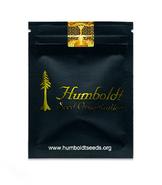 Banana Sapphire fem (Humboldt Seed Organization)