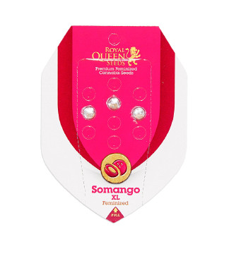 Somango XL fem (RQS)