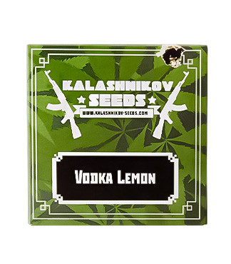 Vodka Lemon fem (Kalashnikov Seeds)