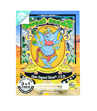 Chem Beyond Diesel CBD fem (Sweet Seeds)