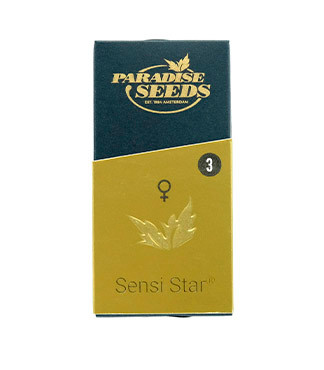 Sensi Star fem (Paradise Seeds)
