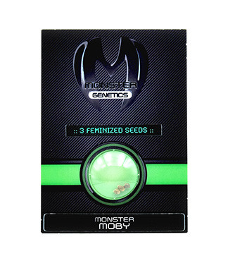 Monster Moby fem (Monster Genetics)