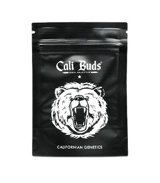 Tropicana Cookies Auto fem (Cali Buds Seeds)