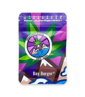 Bay Burger fem (Delicious Seeds)