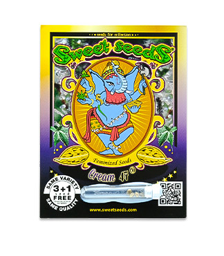 Cream 47 fem (Sweet Seeds)