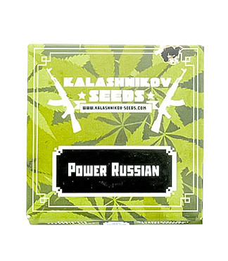 Power Russian fem (Kalashnikov Seeds)