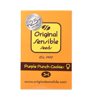 Purple Punch Cookies fem (Original Sensible Seeds)