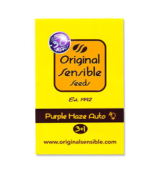 Purple Haze Auto fem (Original Sensible Seeds)