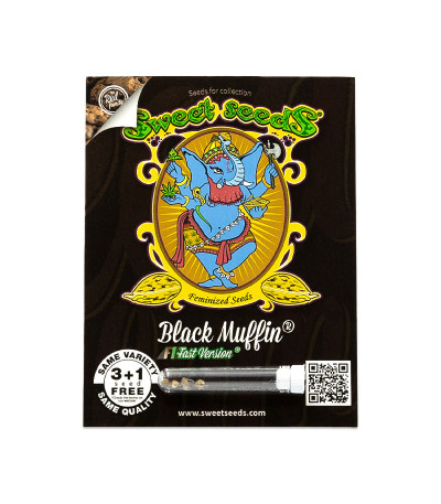 Семена сорта Black Muffin F1 Fast Version fem (Sweet Seeds)
