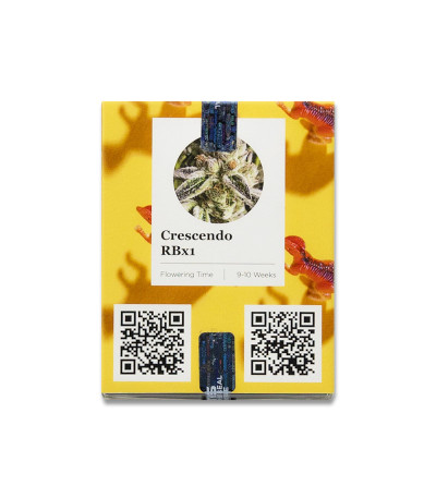 Семена сорта Crescendo RBX1 fem (Ethos Genetics)