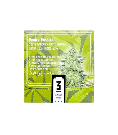 Семена сорта Power Russian fem (Kalashnikov Seeds)