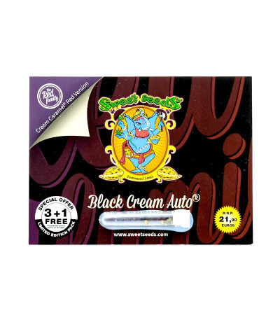 Семена сорта Black Cream Auto fem (Sweet Seeds)