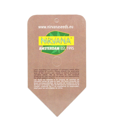 Семена сорта Blue Mystic (Blueberry) reg (Nirvana Seeds)