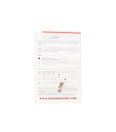 Семена сорта California Dream fem (Mandala Seeds)