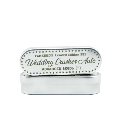 Семена сорта Wedding Crasher Auto fem (7CH Seeds & Advanced Seeds)