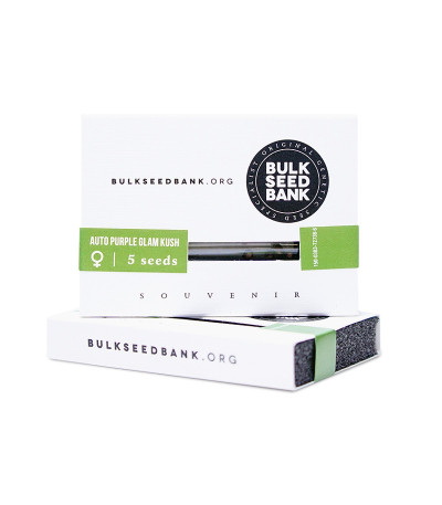 Семена сорта Auto Purple Glam Kush fem