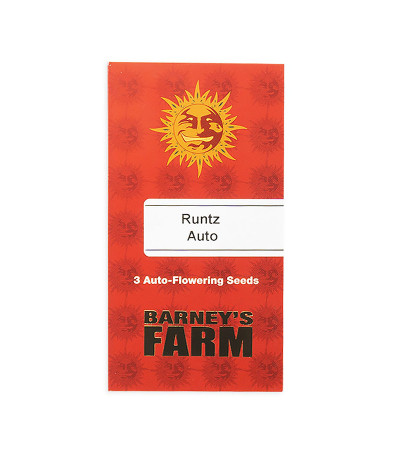 Семена сорта Runtz Auto fem (Barney's Farm)