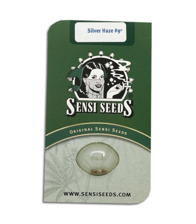 Семена сорта Silver Haze #9 fem (Sensi Seeds)