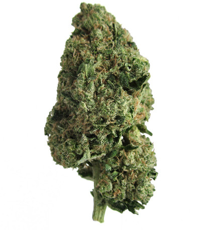 Семена сорта Afghan Kush fem (Семяныч)