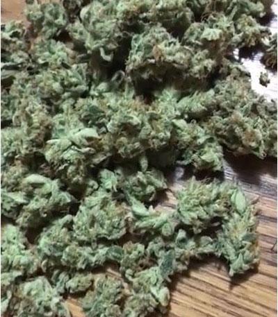 Семена сорта Banana Daddy Auto RBX2 fem (Ethos Genetics)