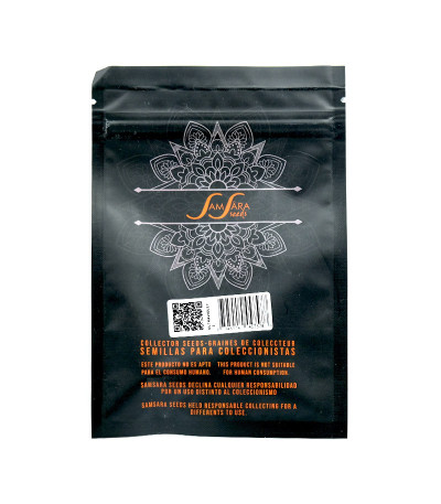 Семена сорта Ultraviolet auto fem (Samsara Seeds)