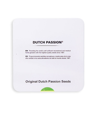 Семена марихуаны Glueberry O.G. в оригинальной упаковке