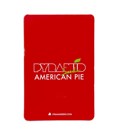 Семена сорта American Pie fem (Pyramid Seeds)