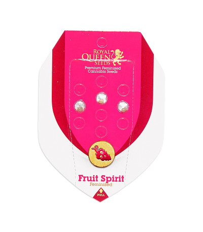 Семена сорта Fruit Spirit fem (Royal Queen Seeds)