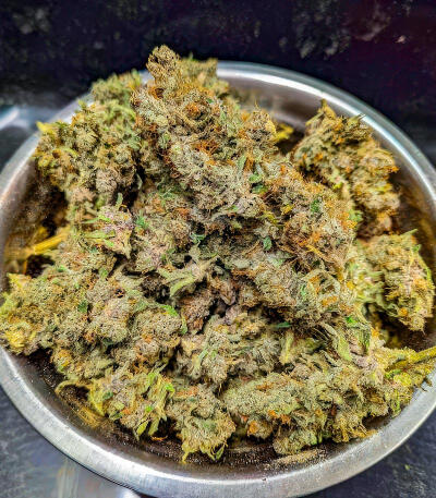 Семена сорта Ghost Chem OG Autoflower fem (Seedkeepers)