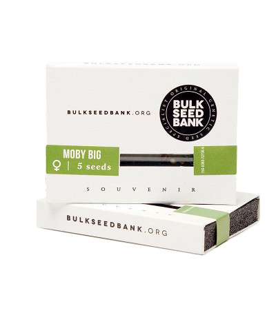 Семена сорта Moby Big fem