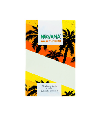 Семена сорта Blueberry Kush Automatic fem (Nirvana Seeds)