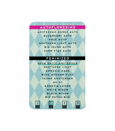 Семена сорта конопли Snow White Amsterdam