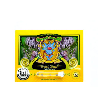 Семена сорта Fast Bud Auto fem (Sweet Seeds)