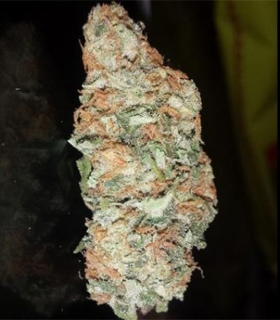 Семена сорта Critical Kush fem (Royal Queen Seeds)