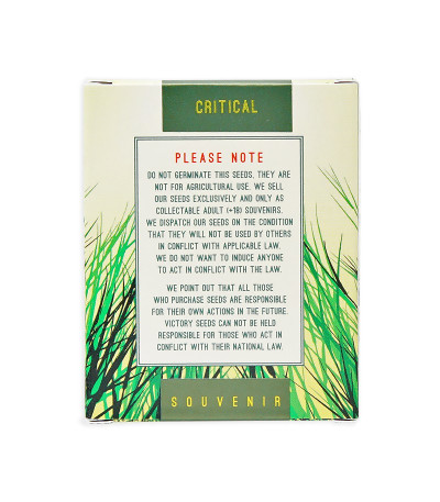 Семена сорта Critical fem (Victory Seeds)