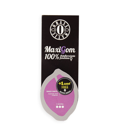 Семена сорта MAXI GOM auto fem